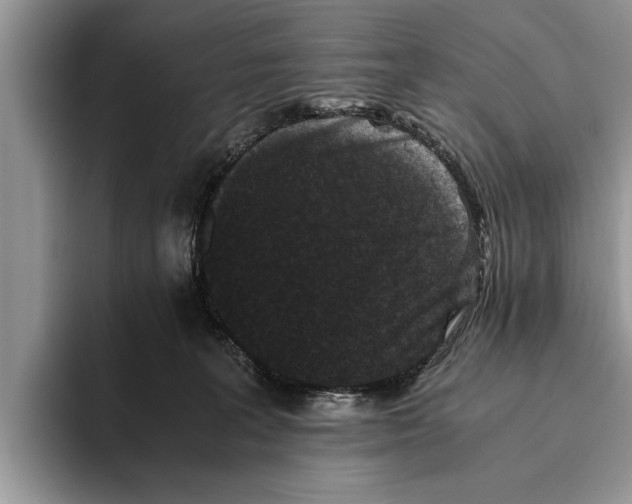X0000093460227200711091555