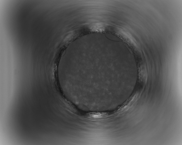 X0000093460229200711091555