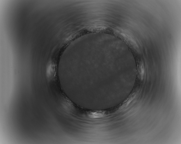 X0000093460232200711091555