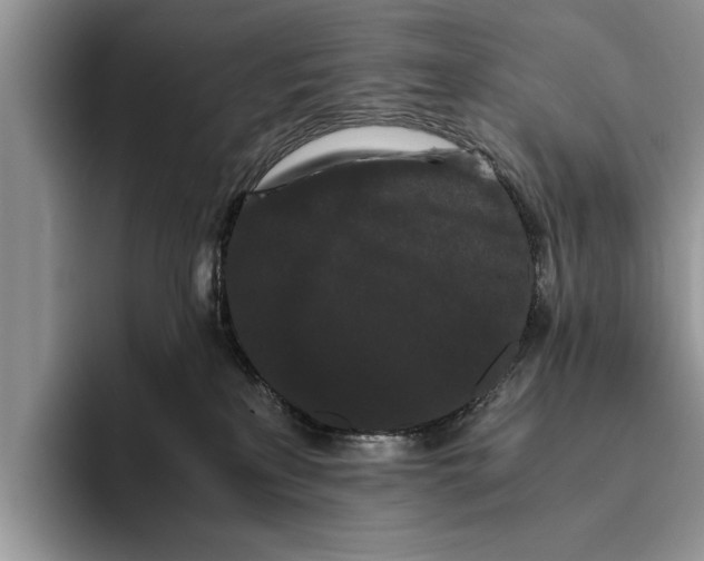 X0000093460233200711091555