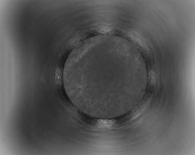 X0000093460234200711091555