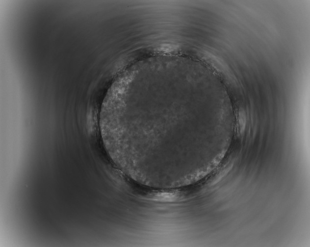 X0000093460236200711091555
