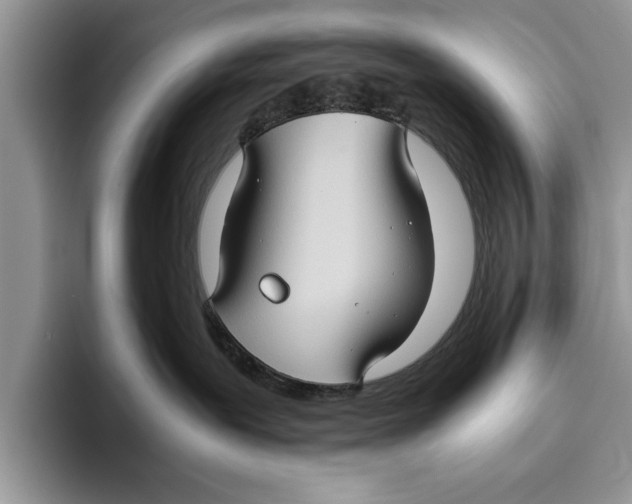 X0000093460239200711091555