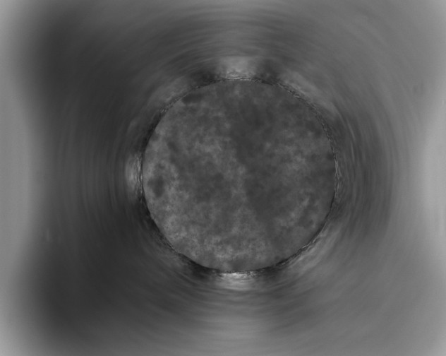 X0000093460240200711091555