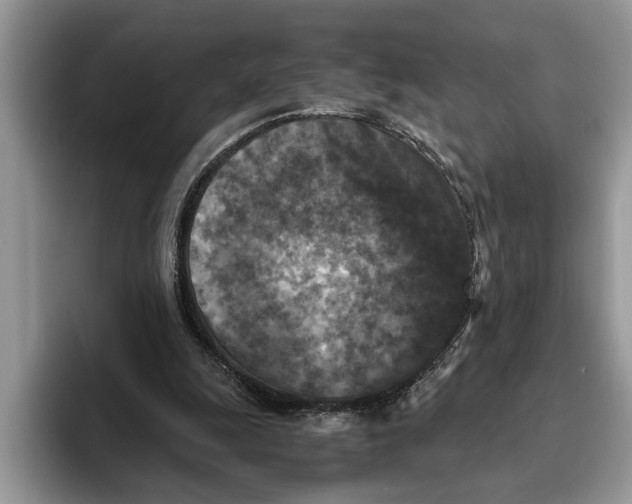 X0000093460247200711091554