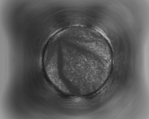 X0000093460249200711091554