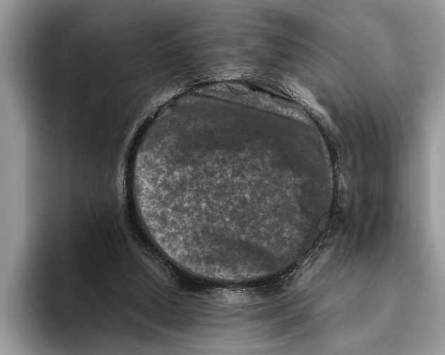 X0000093460250200711091554