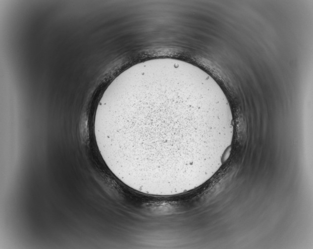 X0000093460254200711091554