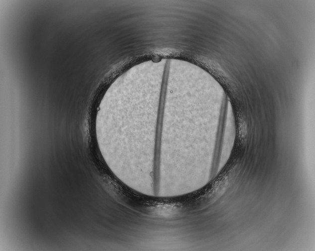 X0000093460256200711091554