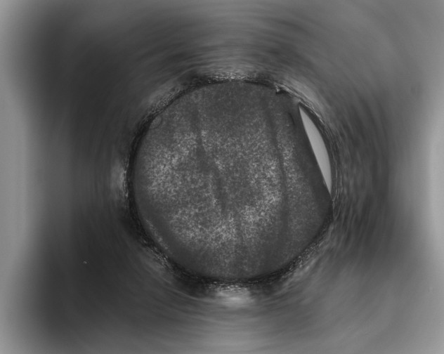 X0000093460258200711091554