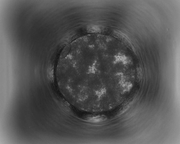 X0000093460267200711091555
