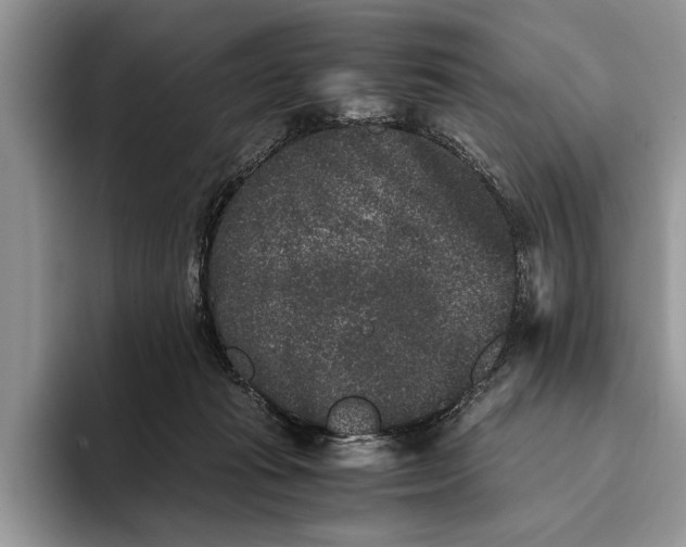 X0000093460269200711091555