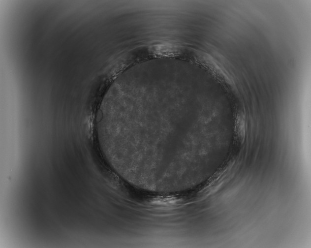 X0000093460271200711091555