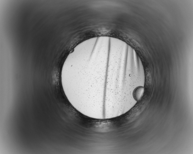 X0000093460274200711091555