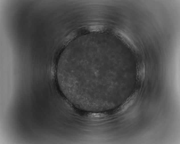 X0000093460277200711091555