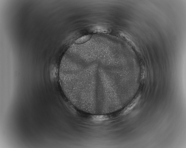 X0000093460281200711091555