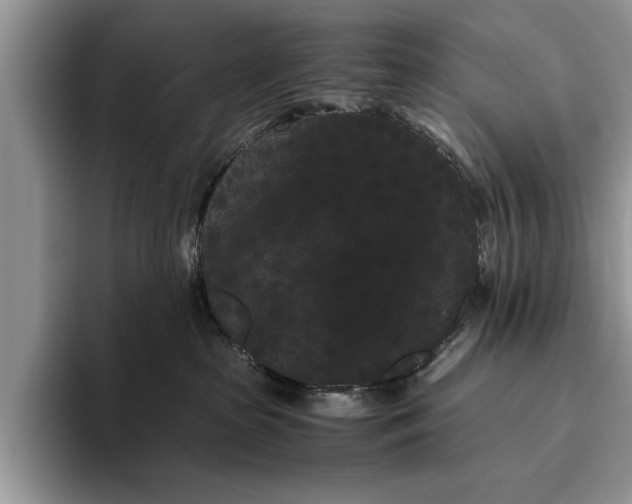X0000093460285200711091555