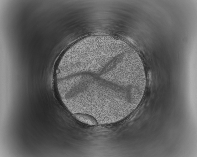 X0000093460290200711091554