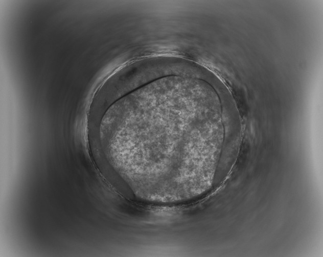 X0000093460293200711091554