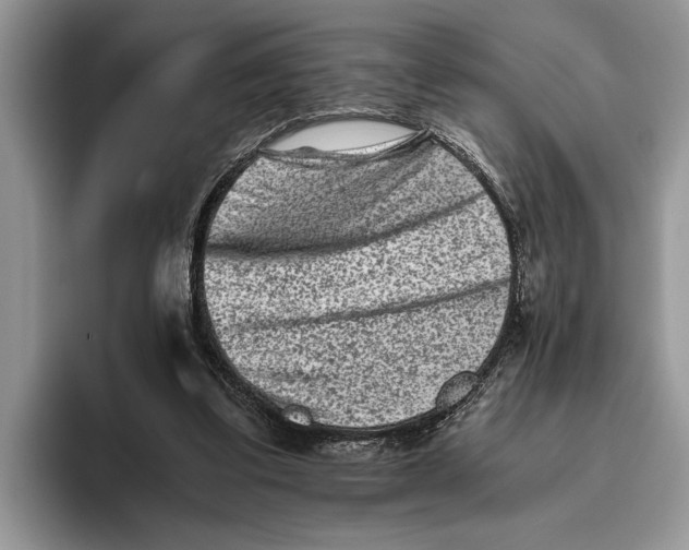 X0000093460299200711091554
