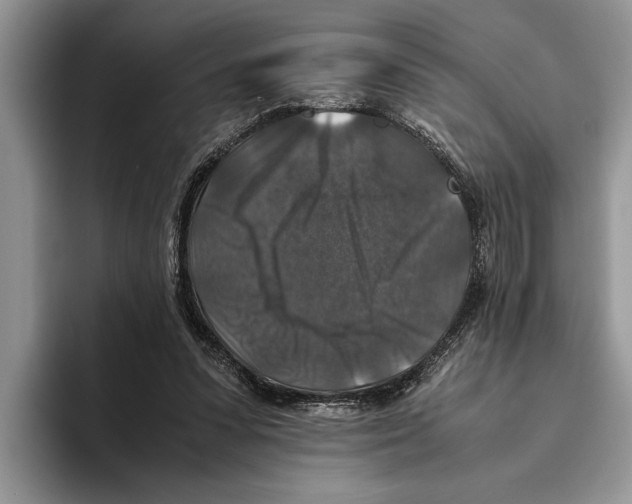 X0000093460303200711091554
