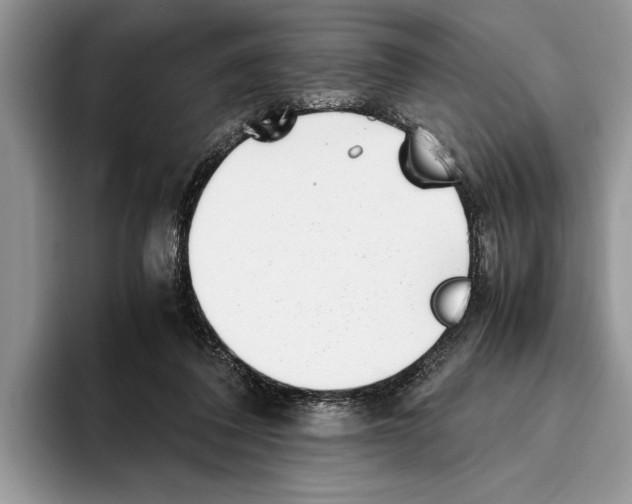 X0000093460308200711091554