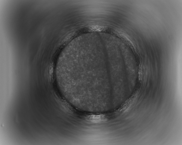 X0000093460314200711091554