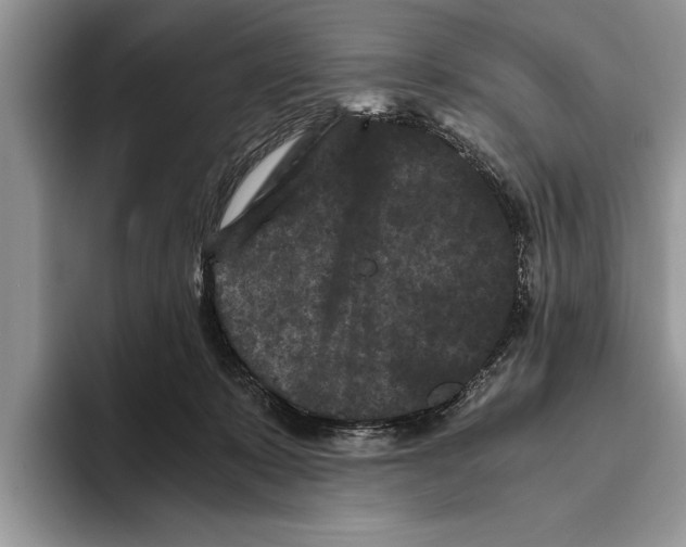 X0000093460319200711091554