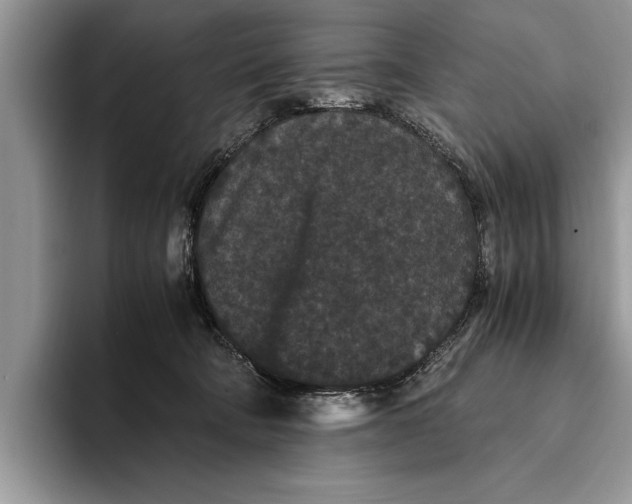 X0000093460322200711091554