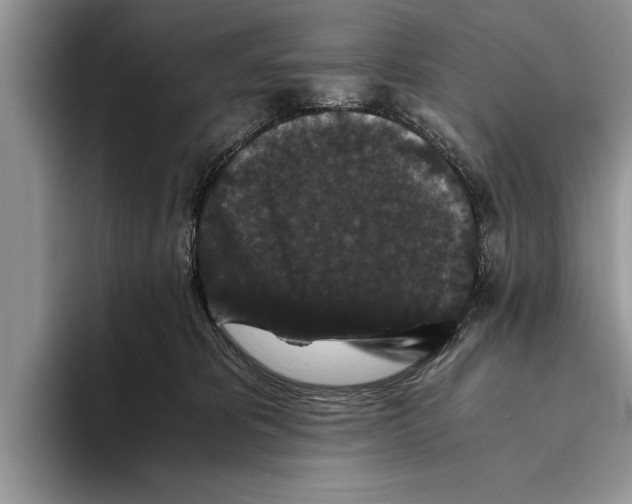 X0000093460325200711091554