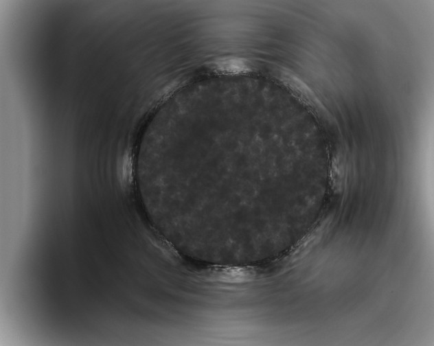 X0000093460330200711091554