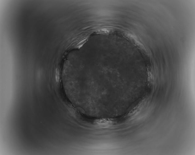 X0000093460331200711091554