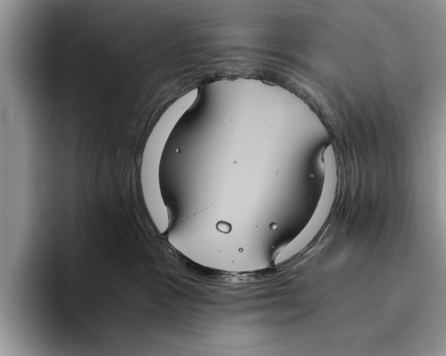 X0000093460333200711091554
