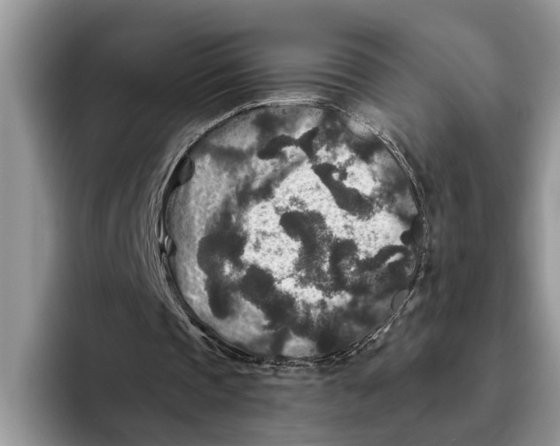 X0000093460337200711091553