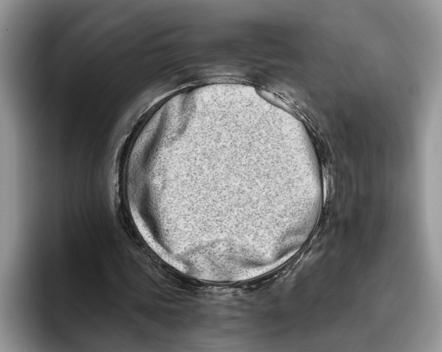 X0000093460339200711091553