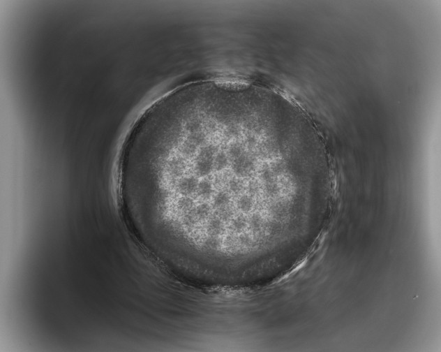 X0000093460343200711091553