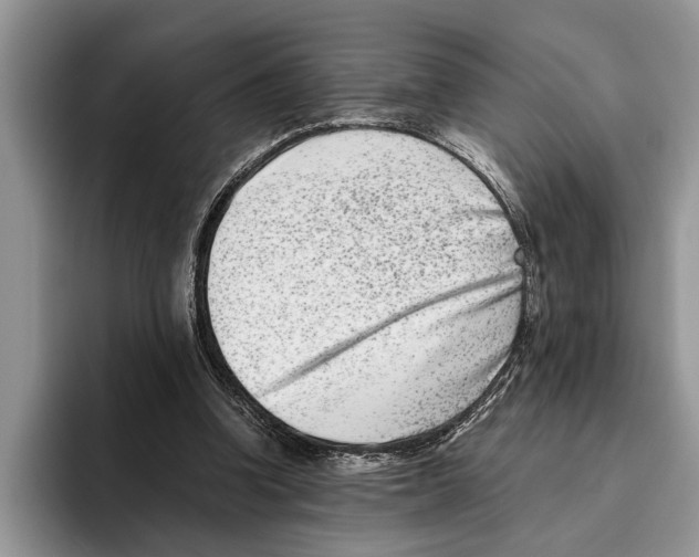 X0000093460346200711091553