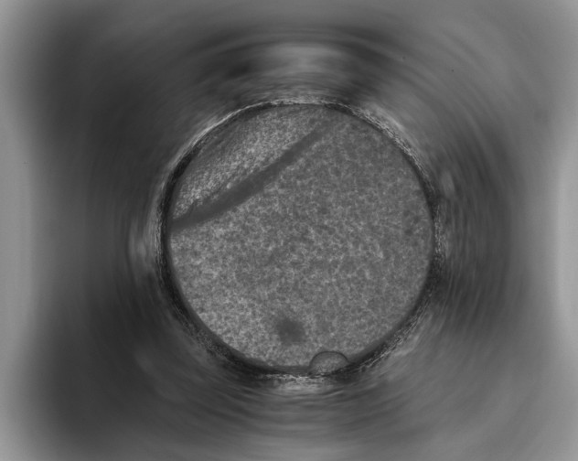 X0000093460347200711091553