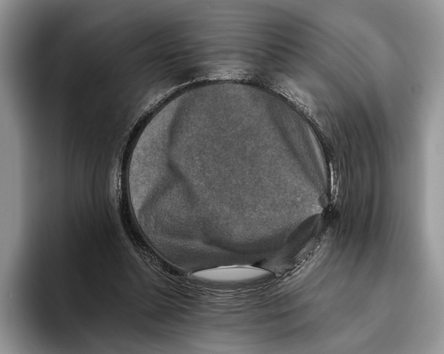 X0000093460348200711091553