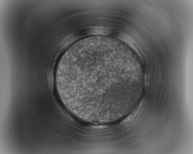 X0000093460349200711091553