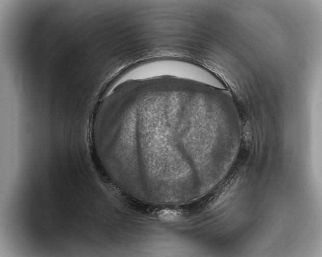 X0000093460352200711091553