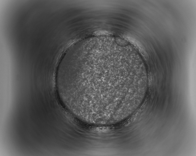 X0000093460353200711091553