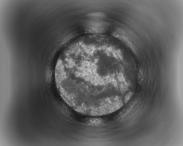 X0000093460355200711091553