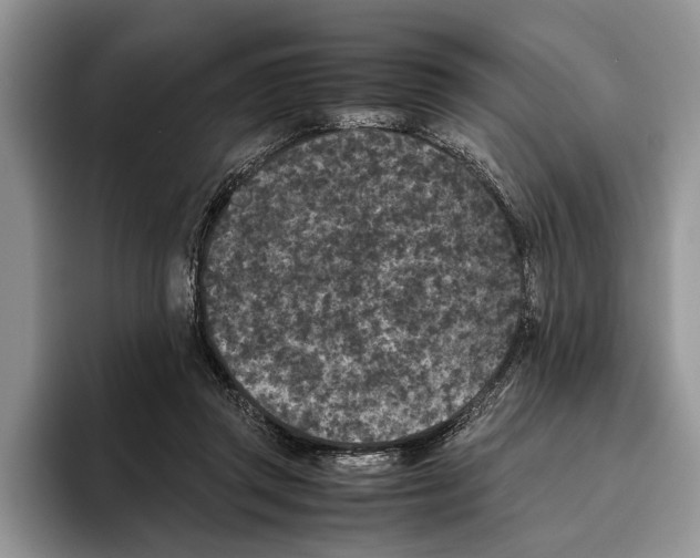 X0000093460357200711091553