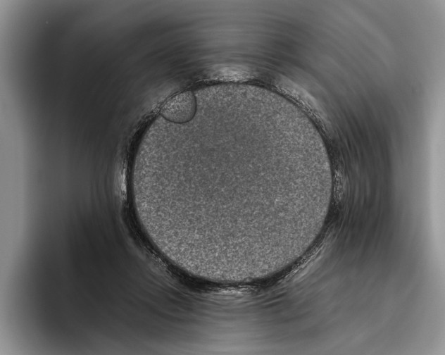 X0000093460358200711091553
