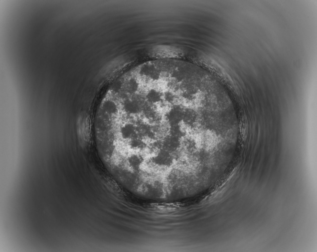 X0000093460359200711091553