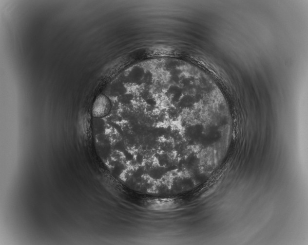 X0000093460361200711091553
