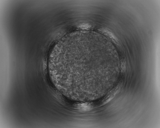 X0000093460365200711091553