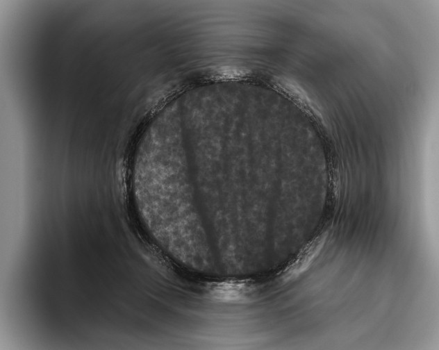 X0000093460366200711091553
