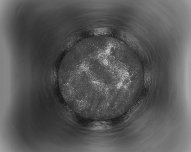 X0000093460367200711091553